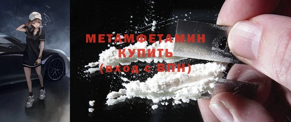 ГАЛЛЮЦИНОГЕННЫЕ ГРИБЫ Богданович