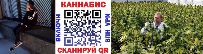 Купить где  Волжский  Бошки Шишки тримм 